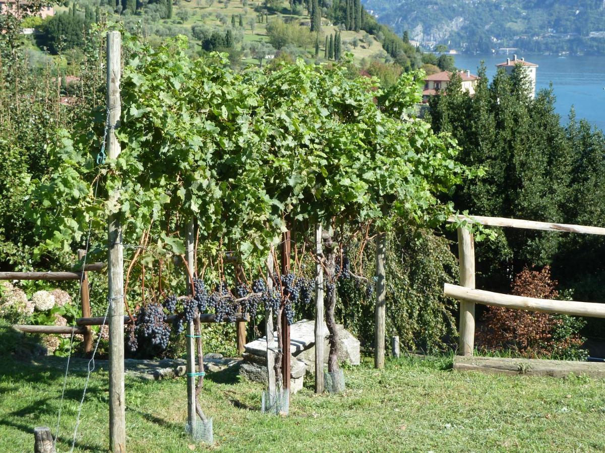 Vila Bellagio Il Crotto Exteriér fotografie