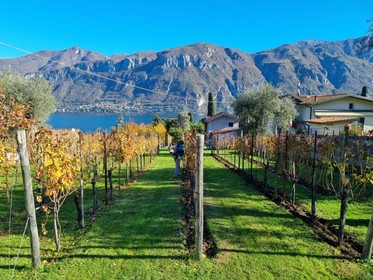 Vila Bellagio Il Crotto Exteriér fotografie