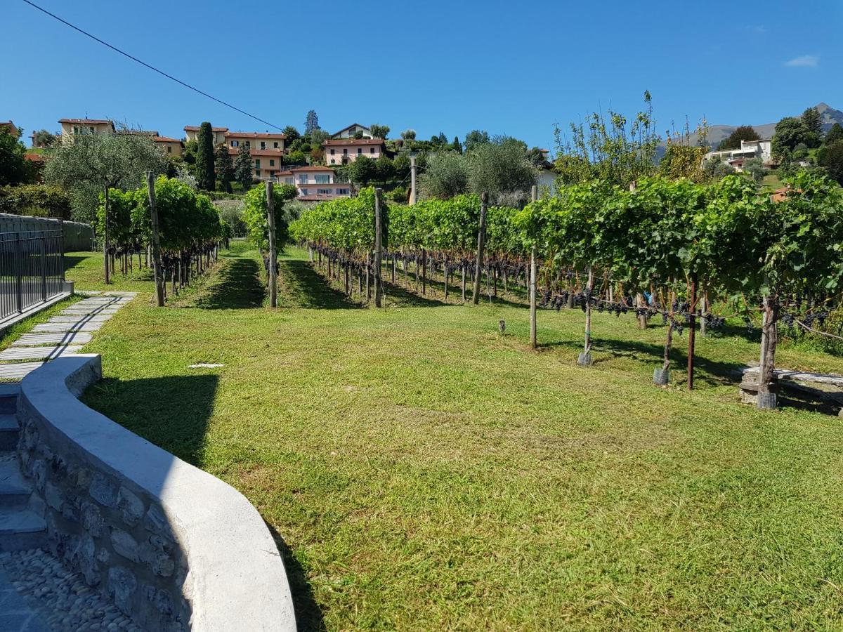 Vila Bellagio Il Crotto Exteriér fotografie