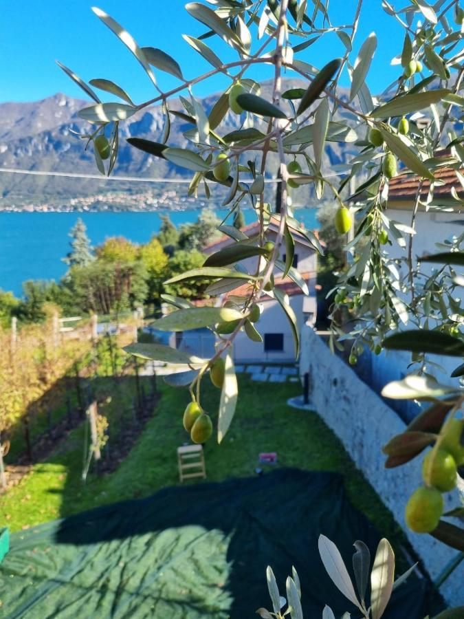 Vila Bellagio Il Crotto Exteriér fotografie